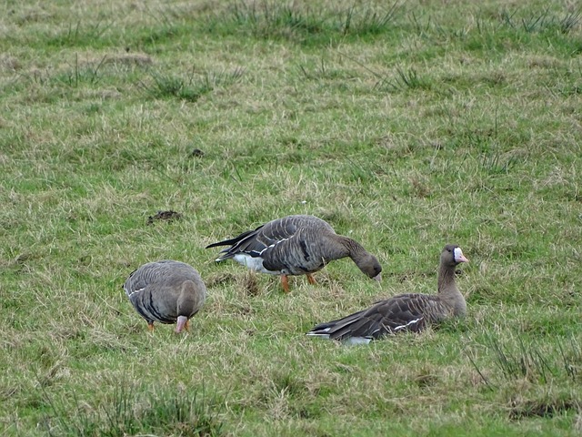 这门课程借 这门课程借