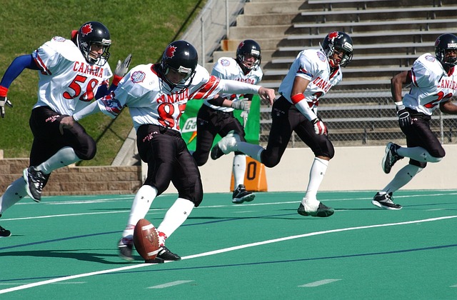 本赛季的 本赛季的