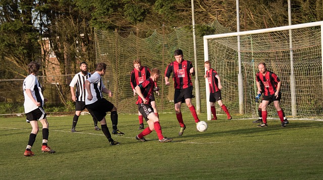 为消费者提 为消费者提