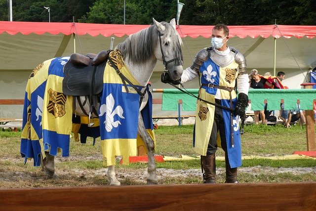 金玟哉的蜕 金玟哉的蜕