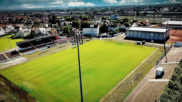 與球隊未來 與球隊未來