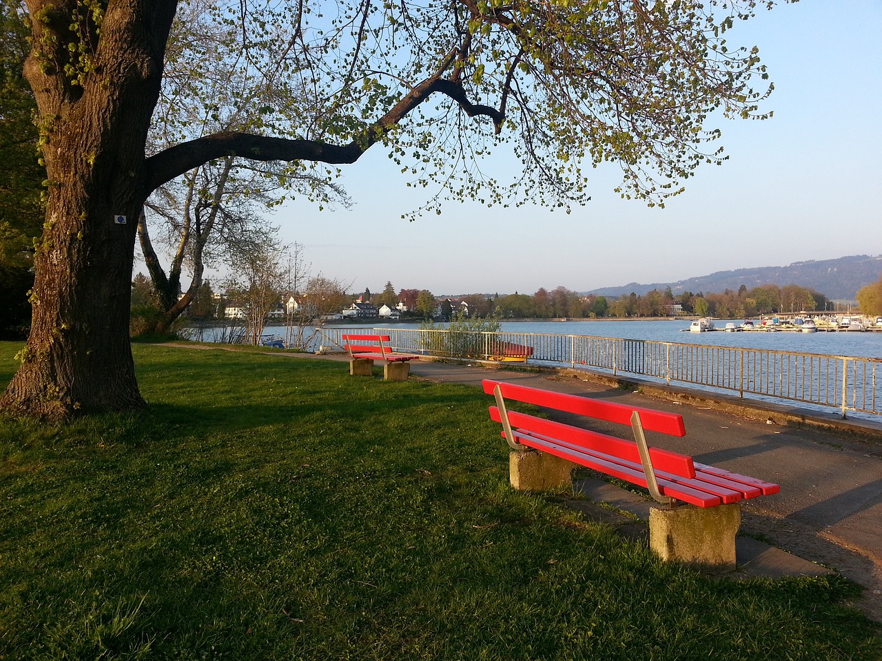 力的城市举 力的城市举